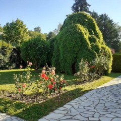 La Quietude photo 4
