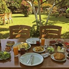 Baris Pension & Bungalows - Bild 19