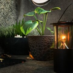 Snorri's Guesthouse in Reykjavik, Iceland from 128$, photos, reviews - zenhotels.com photo 12