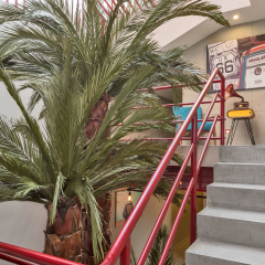 Taksim Nis Hotel - Bild 10