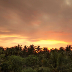 Villa Rembulan - Bild 13