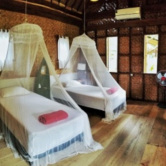 Didu's Homestay Bed & Breakfast - Bild 2