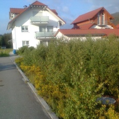 Boutique Appartement Maison Rusticale - Bild 11