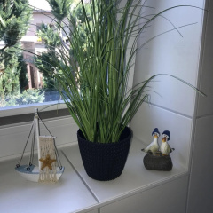 Ferienhaus an der Ostsee - Bild 13