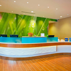 Springhill Suites by Marriott Pittsburgh Mt. Lebanon thumbnail 32