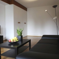 rent-a-home Bristenweg - Bild 5