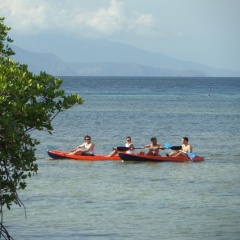 Mangrove Paradise Retreat - Bild 27