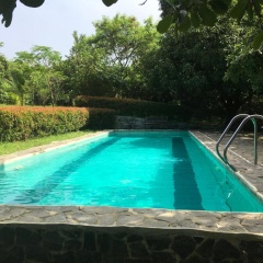 Modern Room with beautiful pool photo 4
