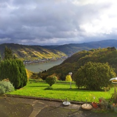 Schau-Rhein#1 - On top of Bacharach, Rhineview - Bild 4