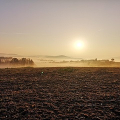 Landgasthof Zum Kirchenwirt - Bild 12