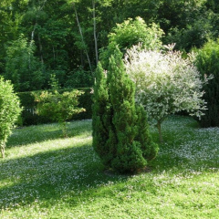 Family-friendly Escape - Bild 16