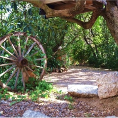 Villa Port Soller - Bild 14