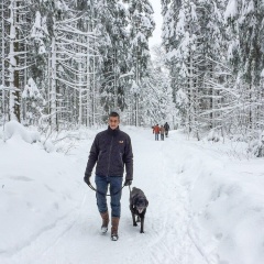 Niedersachsen - Bild 20