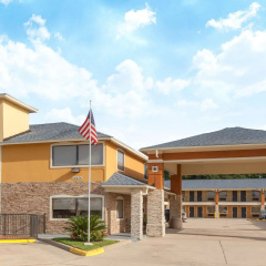 Platinum Inn & Suites Willowbrook Houston thumbnail 1
