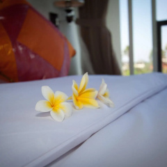 Grace & Milena Guesthouse - Bild 6
