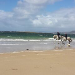 The Abbey Hotel Donegal in Donegal, Ireland from 134$, photos, reviews - zenhotels.com beach