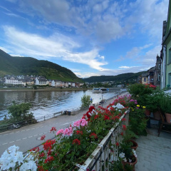Holiday Apartment mit Moselblick in Moselhaus - Bild 9