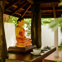 Thaulle Pure Ayurveda Resort - Yala thumbnail 21