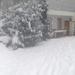 Yve Guesthouse thumbnail 4