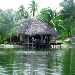 Pension Aotera in Rangiroa, French Polynesia from 282$, photos, reviews - zenhotels.com photo 3