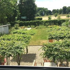 3K Strandnahe 2Z-FEWO OG - Bild 3