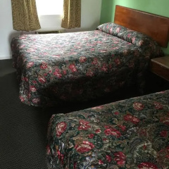 Woodridge Motel thumbnail 23