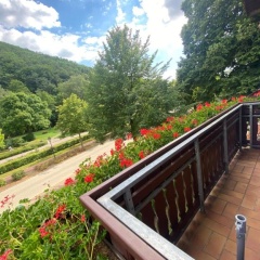 Apartment am Park - Bild 5