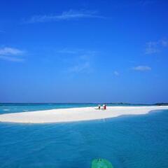 Mathiveri Lodge in Alif Alif Atoll, Maldives from 99$, photos, reviews - zenhotels.com beach photo 4