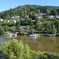 Hotel Neckarlux - Bild 12