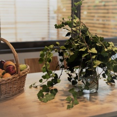 Mirivili Rooms & Suites Hotel - Bild 12