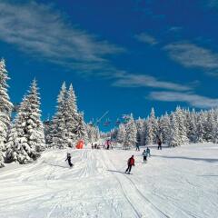 Astoria Lux - K16 Milmari in Kopaonik, Serbia from 115$, photos, reviews - zenhotels.com photo 11