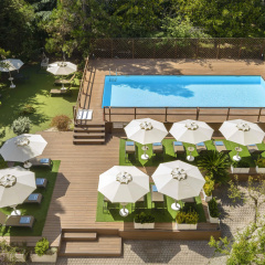 Occidental Aurelia - Bild 16