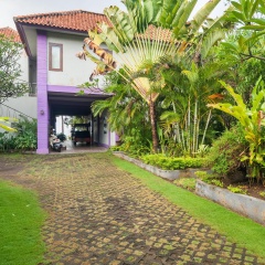 Dolphin Beach Bali - Bild 19