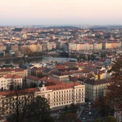 Exclusive apartment on Zborovska - Bild 12