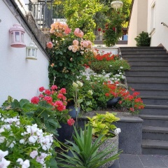 Gartenstudio Anila I. und II. - Bild 4