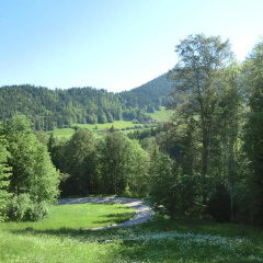 Haus Kunterbunt - Bild 10