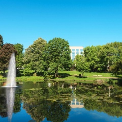 Sheraton Essen Hotel - Bild 20