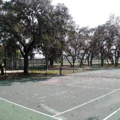 Sunny Oaks thumbnail 14