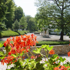 KURHOTEL Bad Suderode - Bild 8
