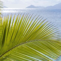 Отель Mango House Seychelles, LXR Hotels & Resorts Сейшельские острова, Остров Маэ - отзывы, цены и фото номеров - забронировать отель Mango House Seychelles, LXR Hotels & Resorts онлайн фото 19