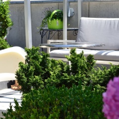 Art Of Comfort - Haus Ingeborg - Bild 17