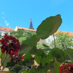 Hotel Schlossberg - Bild 1
