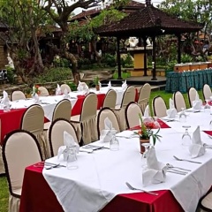 Bali Taman Lovina Resort and Spa Suites - Bild 15