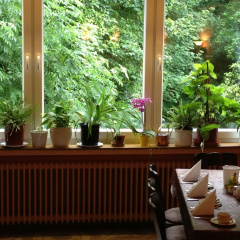 Hotel Holl - Bild 21