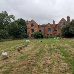 Old Manor House thumbnail 11