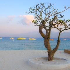 Gili Beach Wind - Bild 14