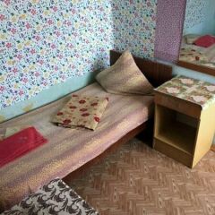 Гостиница Дом Артистов Цирка Арена в Брянске отзывы, цены и фото номеров - забронировать гостиницу Дом Артистов Цирка Арена онлайн Брянск фото 5