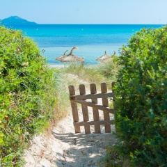 Sa Platja - Bild 16