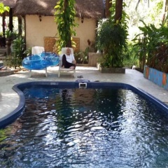Cfun Cottages - Bild 4