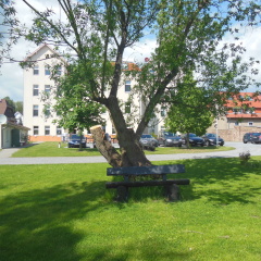 Apartmenthaus Kaiser Friedrich - Bild 11